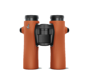 Fernglas Swarovski Optik NL Pure 10x32 orange