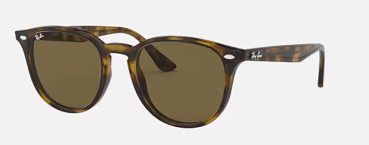Sonnenbrille Ray Ban 4259 731/E