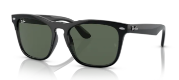 Sonnenbrille Ray Ban Steve 6629/71